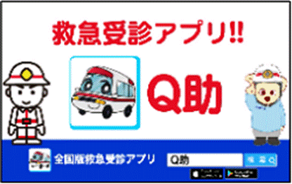 https://www.fdma.go.jp/mission/enrichment/appropriate/img/appropriate003_05_jyusin_app05.png